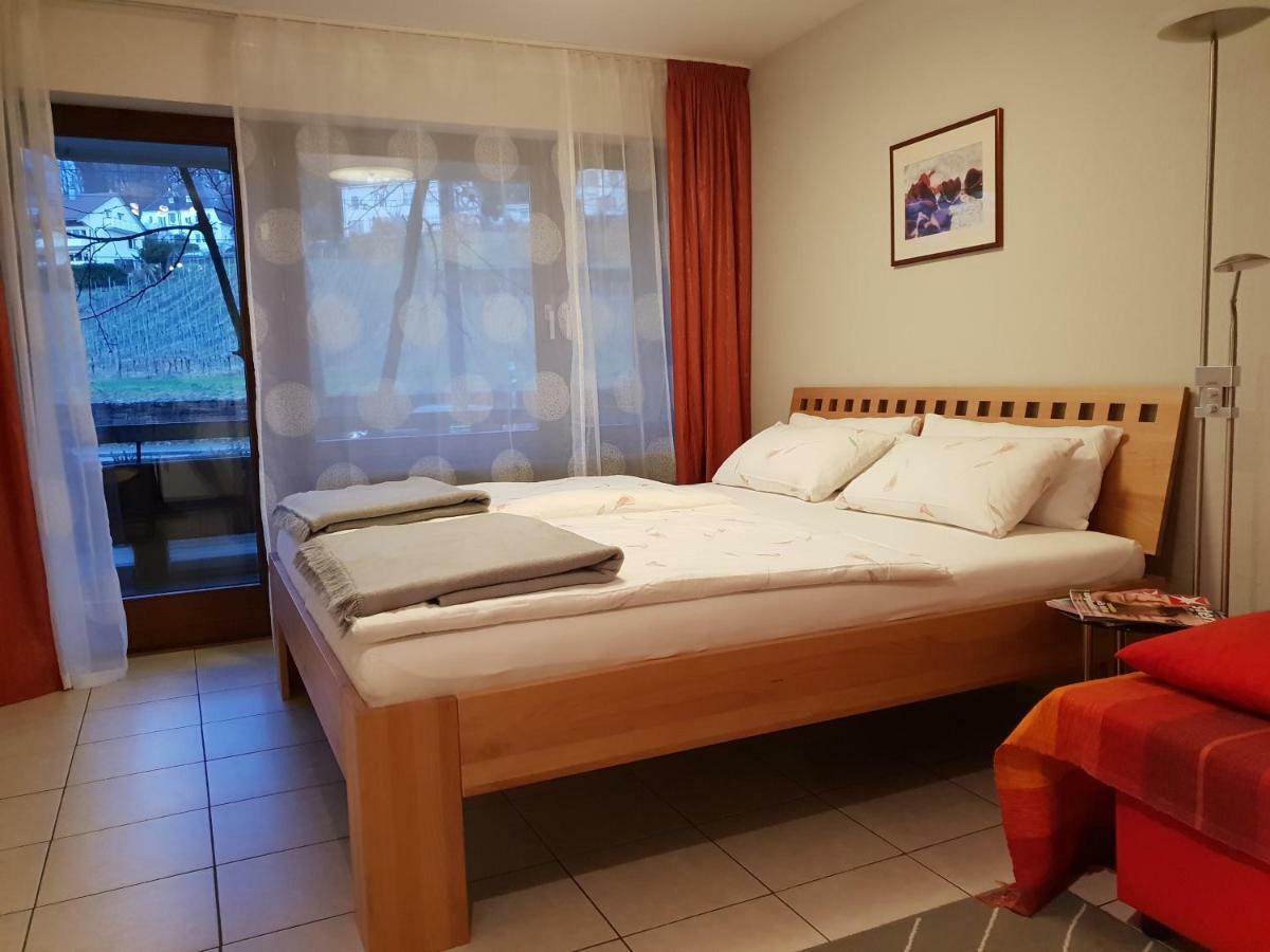 פרייבורג City Appartement 5 מראה חיצוני תמונה